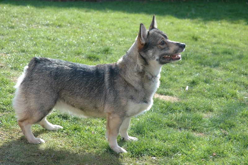 dsc_4480.jpg