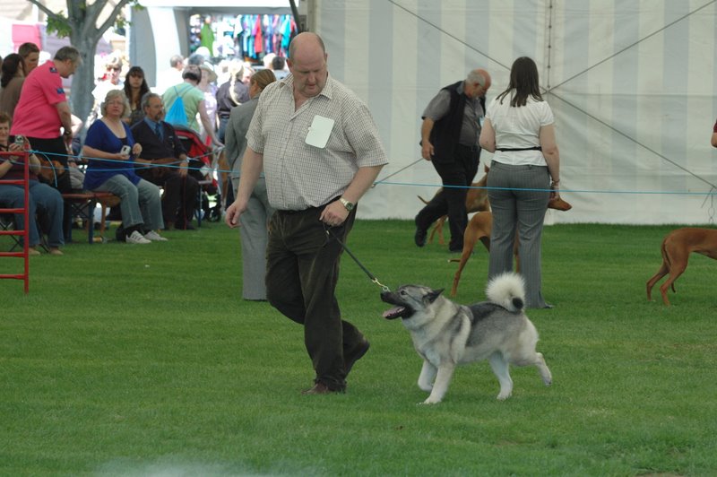 dsc_6201.jpg