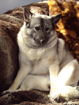imgp0603.jpg